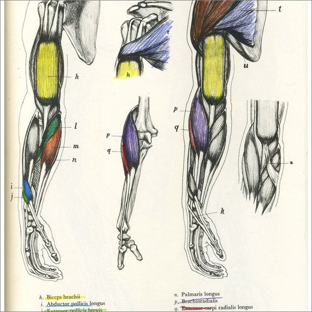 Frame overview