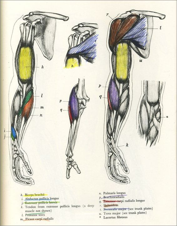 Frame overview