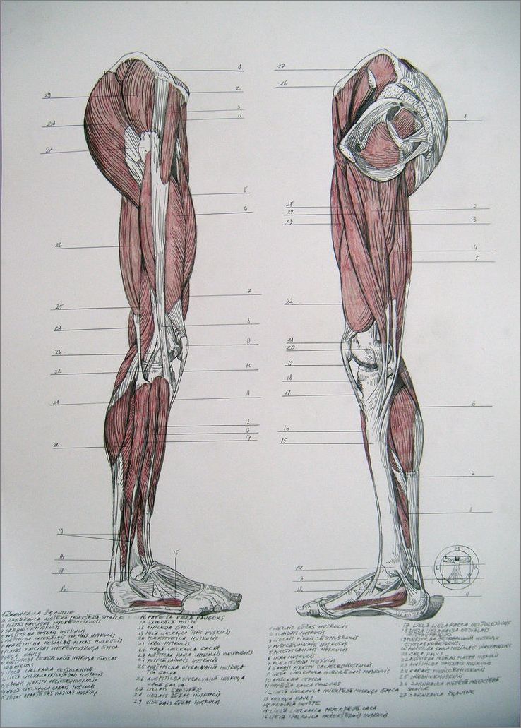 Frame overview