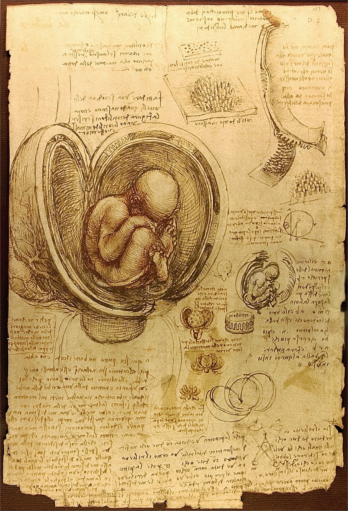 Frame overview