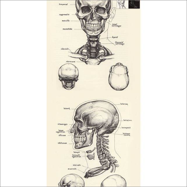 Frame overview