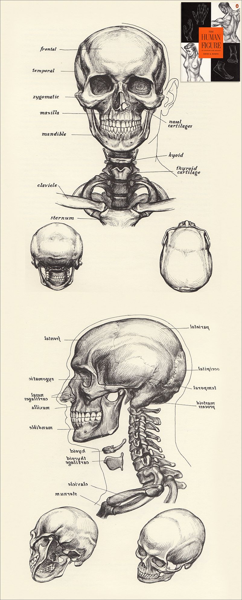 Frame overview